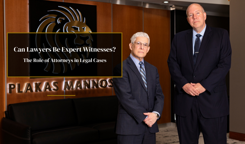 Lawyers can serve as expert witnesses in legal cases
