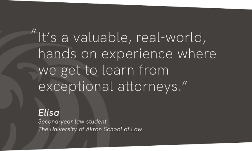 Quote from Elisa, a Plakas Mannos law clerk