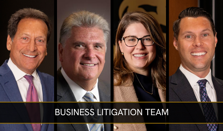 business litigation team